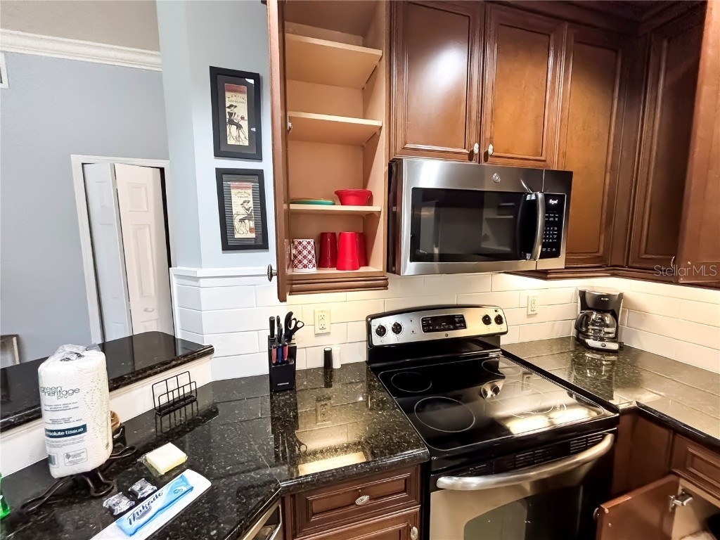 1501 Northern Harrier Way #101 Reunion FL 34747 O6368665 image9