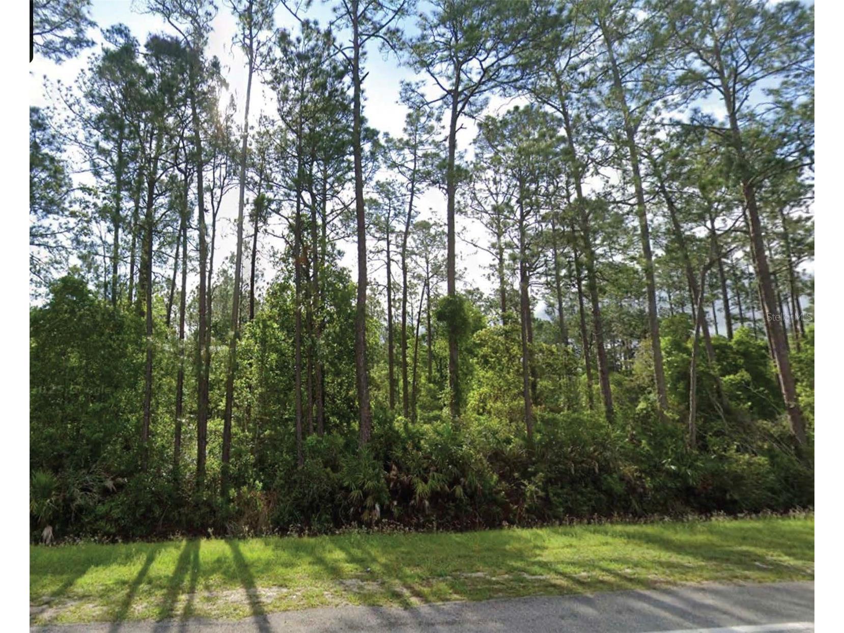 1501 S State Road 19 Palatka FL 32177 O6408324 image1