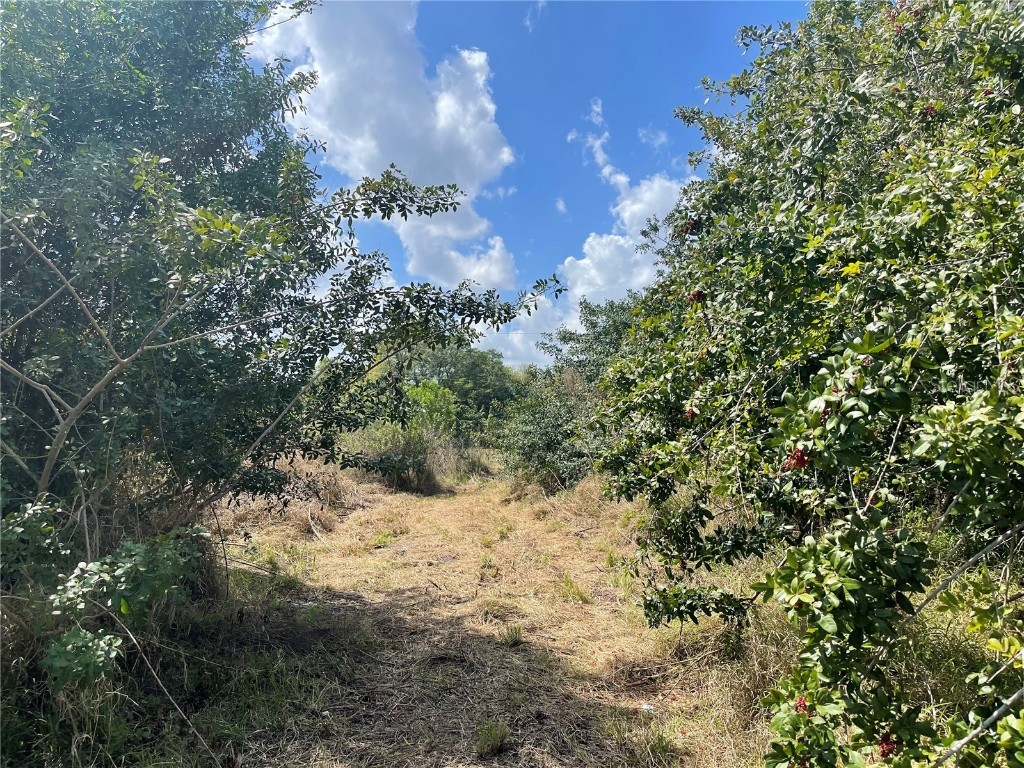 1501 SE Carnahan Avenue Arcadia FL 34266 C7456888 image1