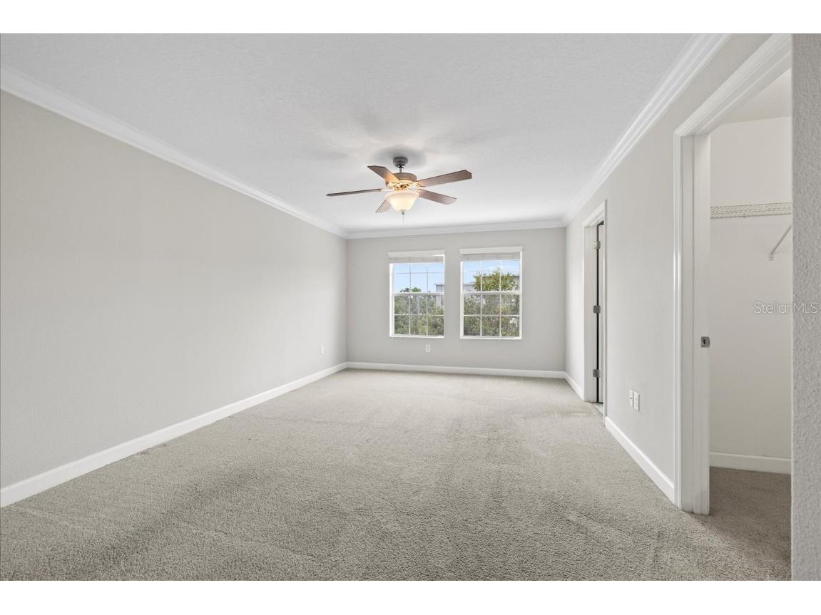 1501 W Lemon Street Tampa FL 33606 TB8448748 image13