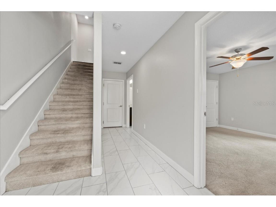 1501 W Lemon Street Tampa FL 33606 TB8448748 image24