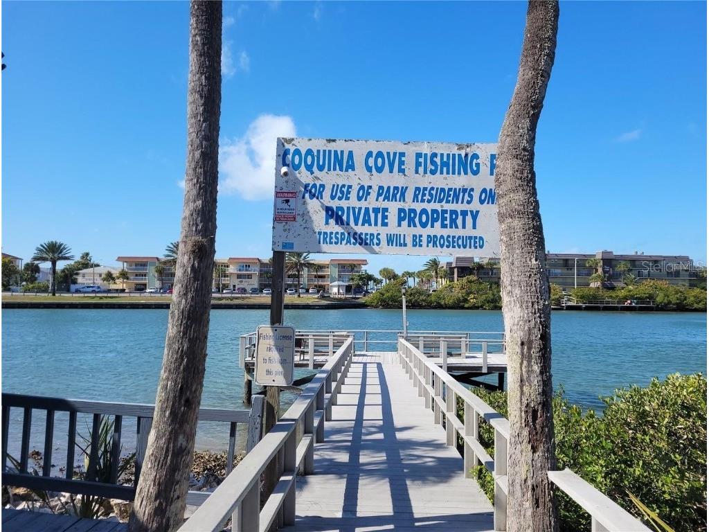 15010 113th Avenue #36 Largo FL 33774 TB8383718 image39