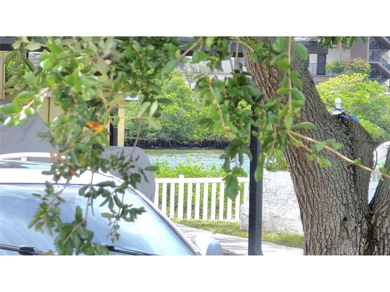 15010 113th Avenue N #33A Largo FL 33774 TB8413481 image41