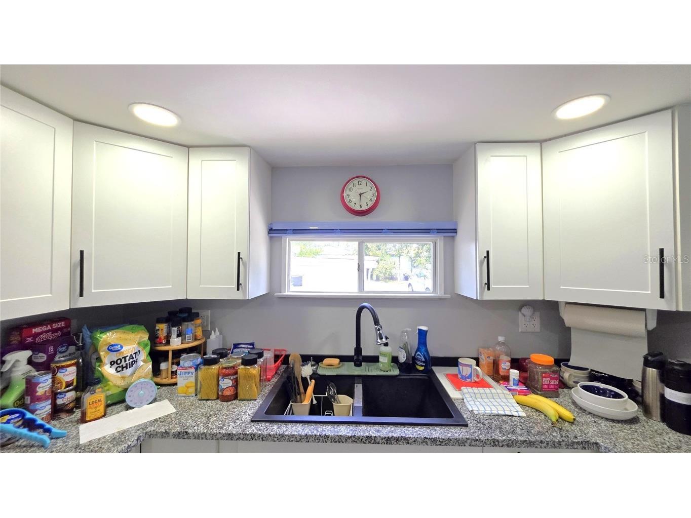 15010 113th Avenue N #33A Largo FL 33774 TB8413481 image9