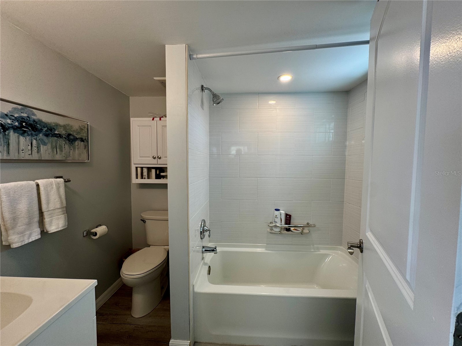 15010 113th Avenue N #47 Largo FL 33774 A4685377 image26
