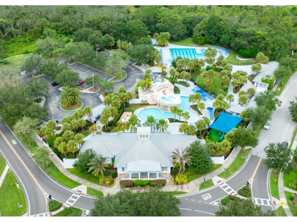 15012 Heronglen Dr Lithia FL 33547 TB8510618 image16