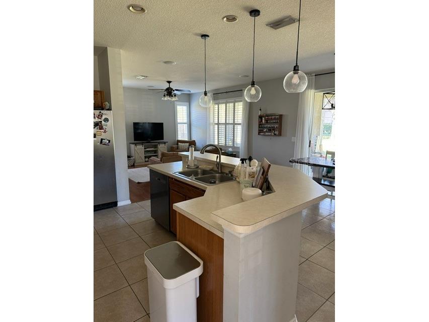 15012 Heronglen Dr Lithia FL 33547 TB8510618 image6