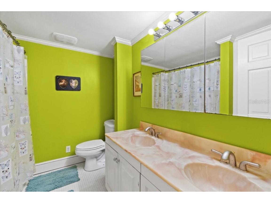 15012 N 301 Highway Thonotosassa FL 33592 TB8390768 image19