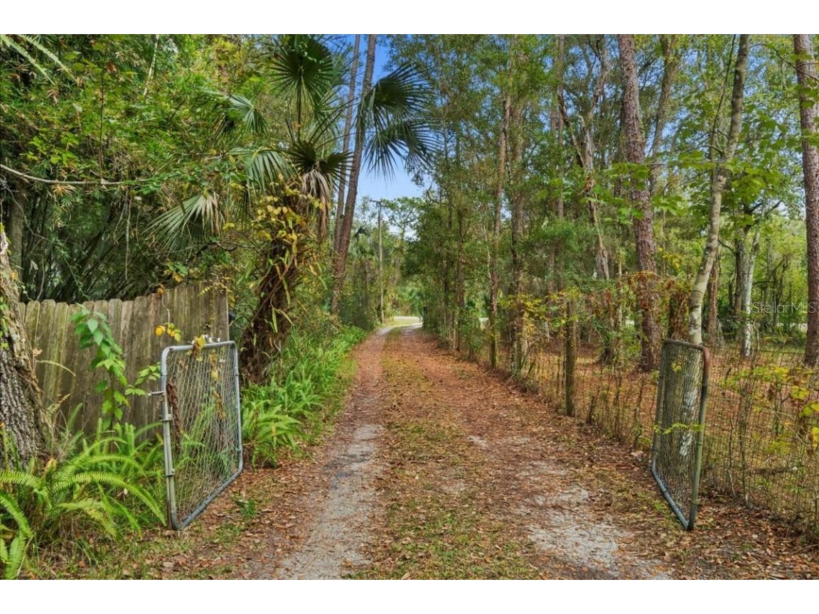 15012 N 301 Highway Thonotosassa FL 33592 TB8390768 image26