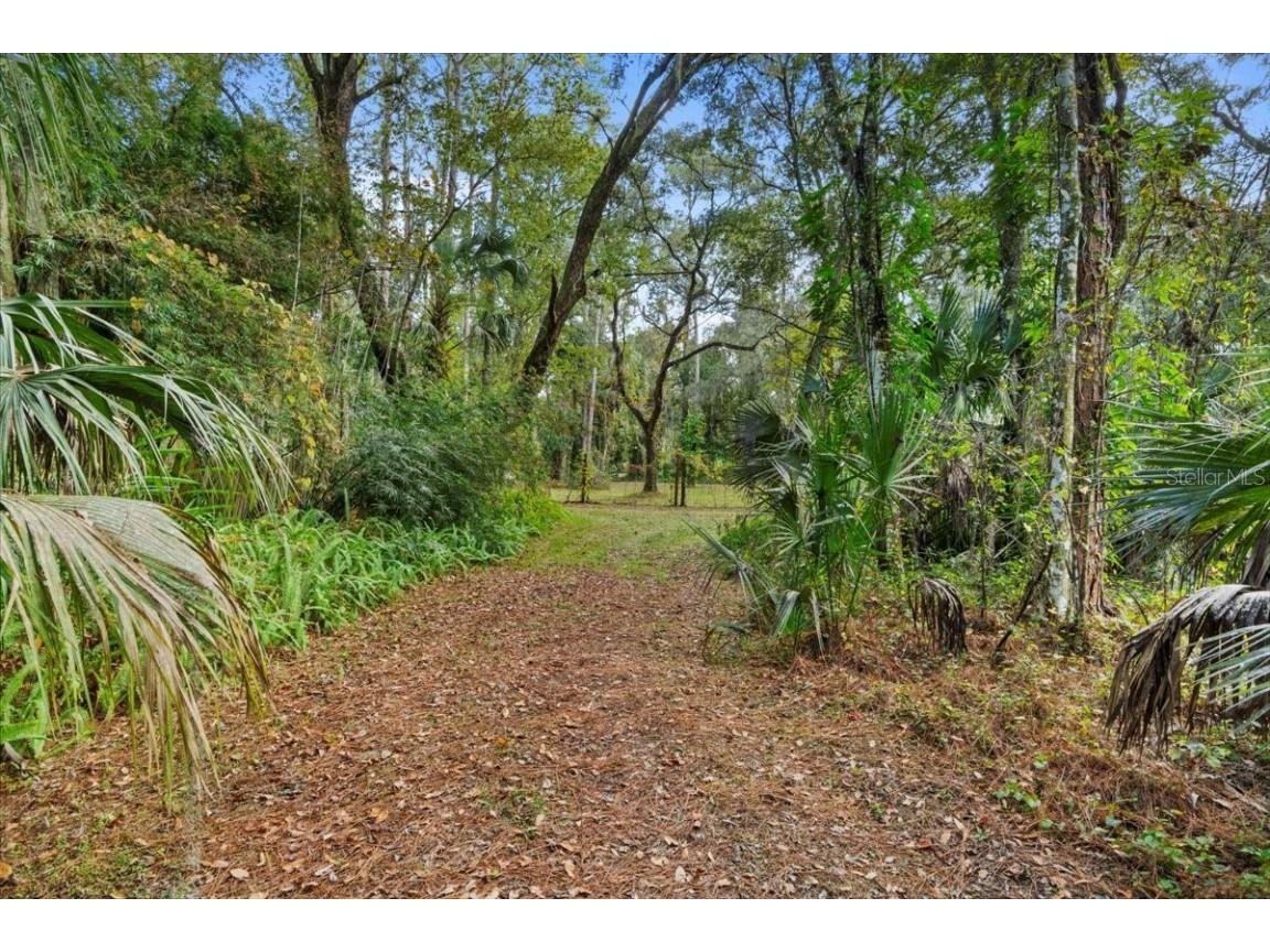 15012 N 301 Highway Thonotosassa FL 33592 TB8390768 image27