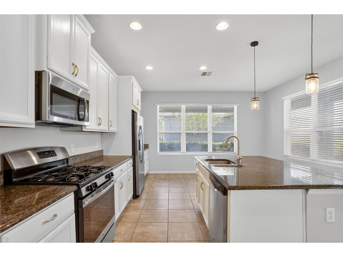 15013 Valverse Alley Winter Garden FL 34787 S5138148 image10