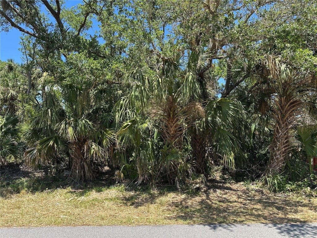 15016 Dahlgren Avenue Port Charlotte FL 33953 C7508507 image1