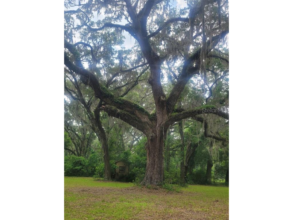 15016 NW 32nd Avenue Newberry FL 32669 OM702895 image13