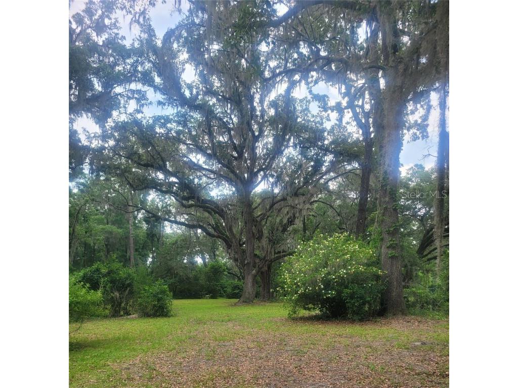 15016 NW 32nd Avenue Newberry FL 32669 OM702895 image14