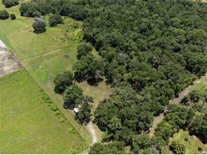 15016 Rainshadow Street Lithia FL 33547 A4584556 image1