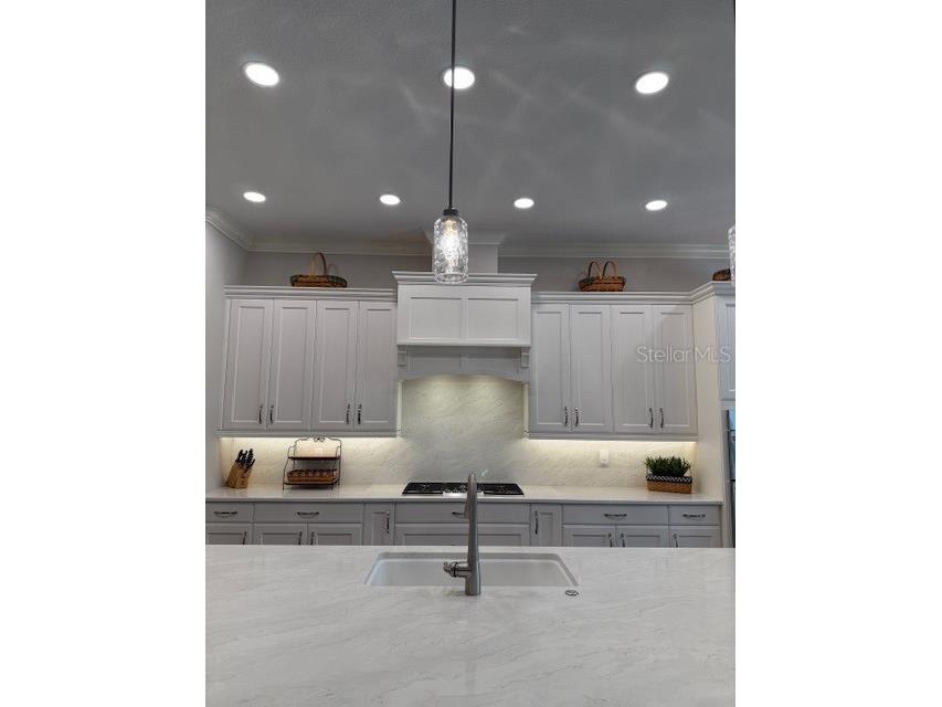 15017 15th Street E Parrish FL 34219 A4667306 image9