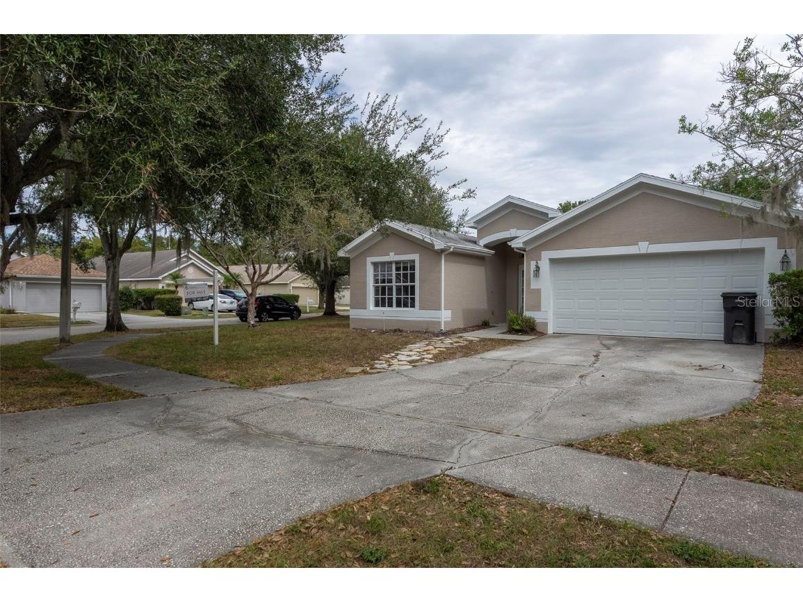 15017 Shaw Road Tampa FL 33625 TB8442242 image2