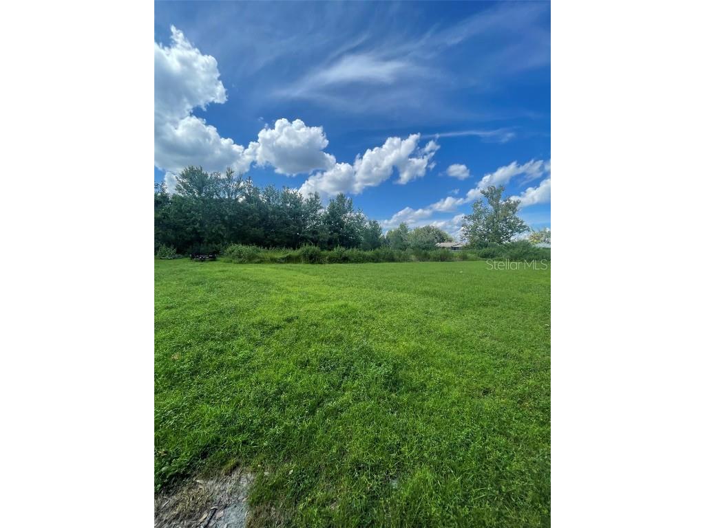 15018 Dr Martin Luther King Jr Boulevard Dover FL 33527 T3481780 image1