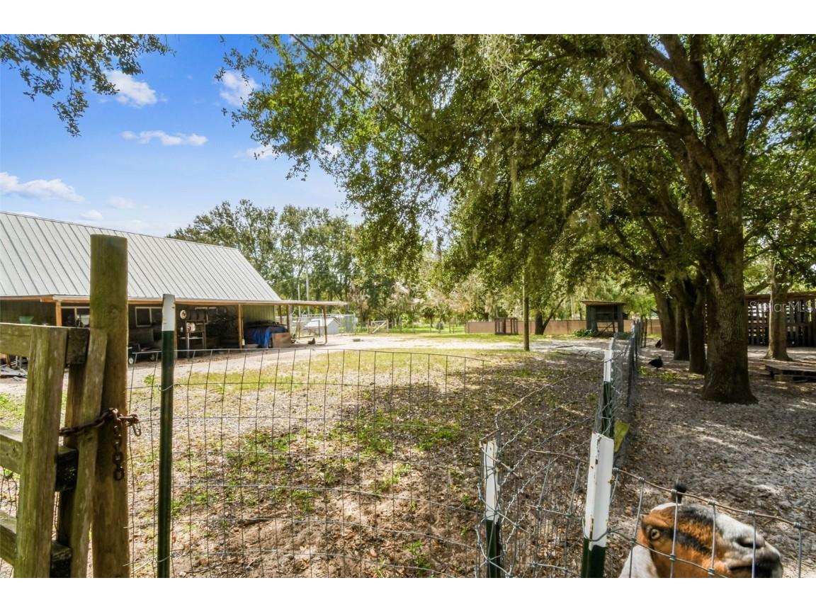 15019 Carlton Lake Road Wimauma FL 33598 TB8431020 image52