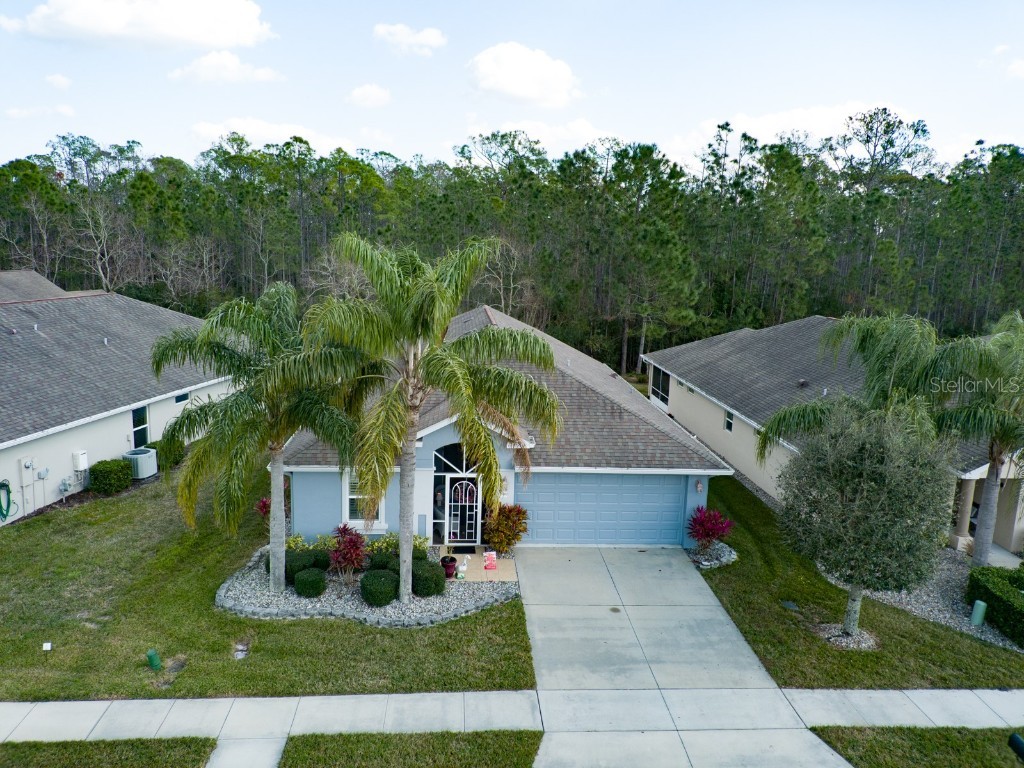 1502 Areca Palm Drive Port Orange FL 32128 NS1083978 image1