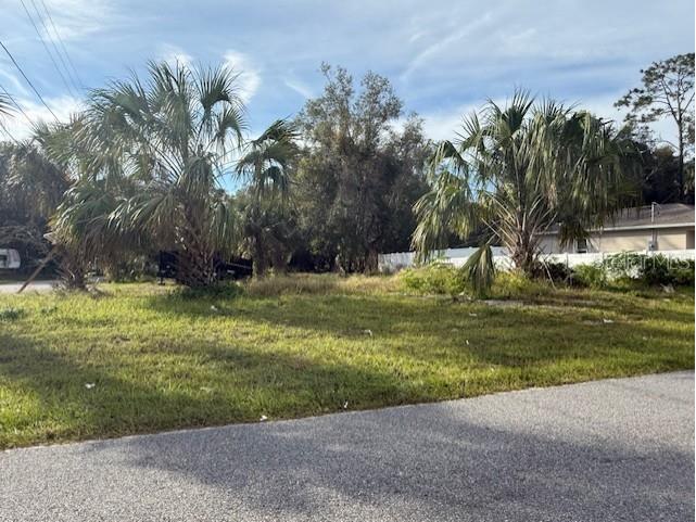 1502 Carver Street Deland FL 32720 V4946111 image11