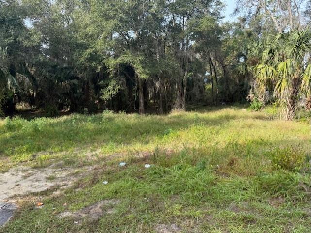 1502 Carver Street Deland FL 32720 V4946111 image5