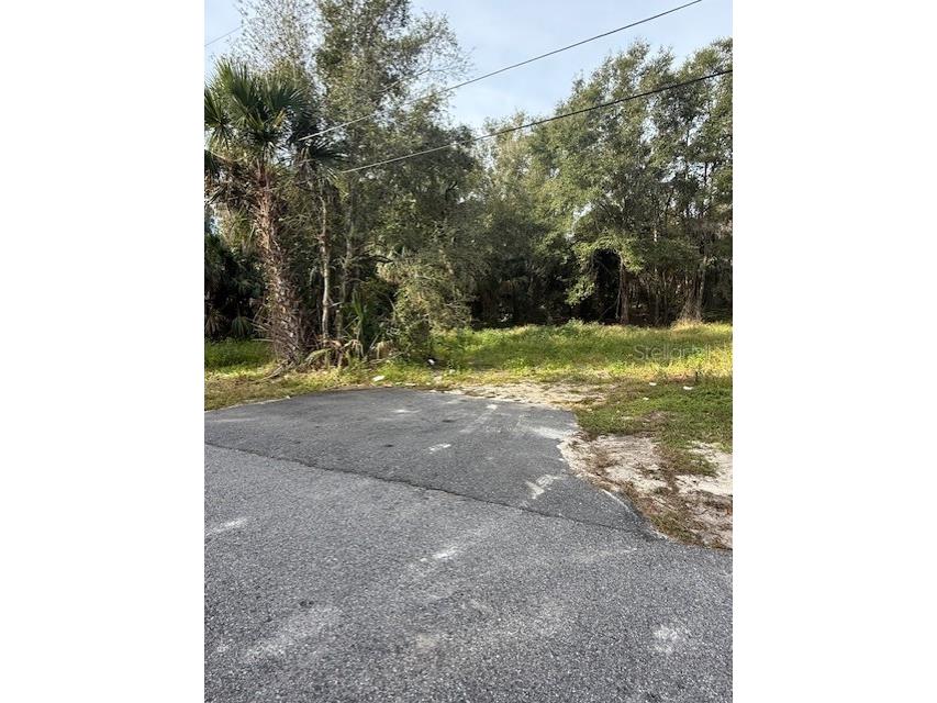 1502 Carver Street Deland FL 32720 V4946111 image6