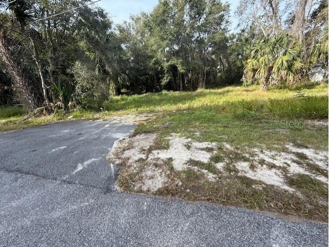 1502 Carver Street Deland FL 32720 V4946111 image7