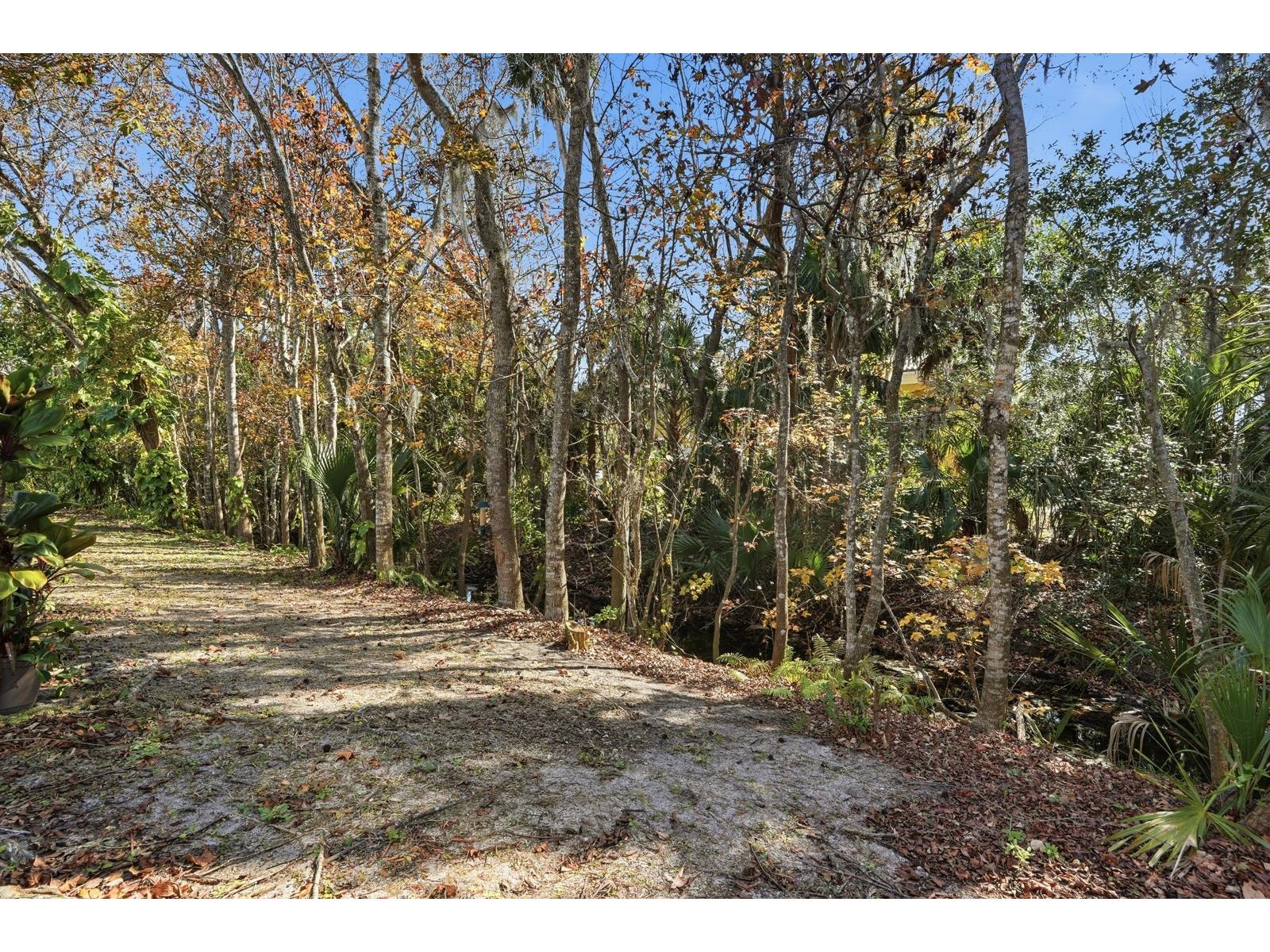 1502 Deer Springs Road Port Orange FL 32129 FC315467 image27