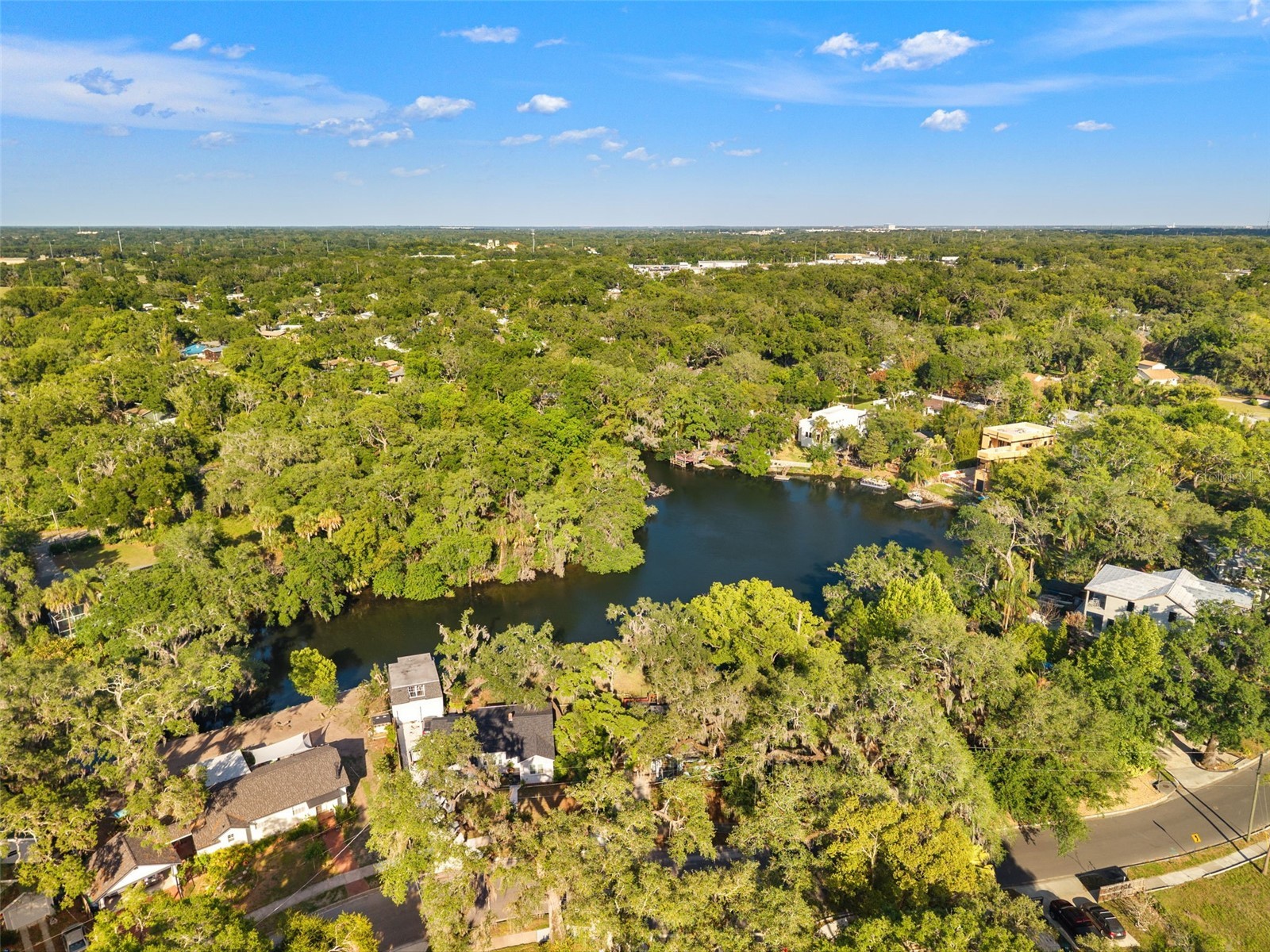 1502 E Park Circle Tampa FL 33610 TB8501236 image48
