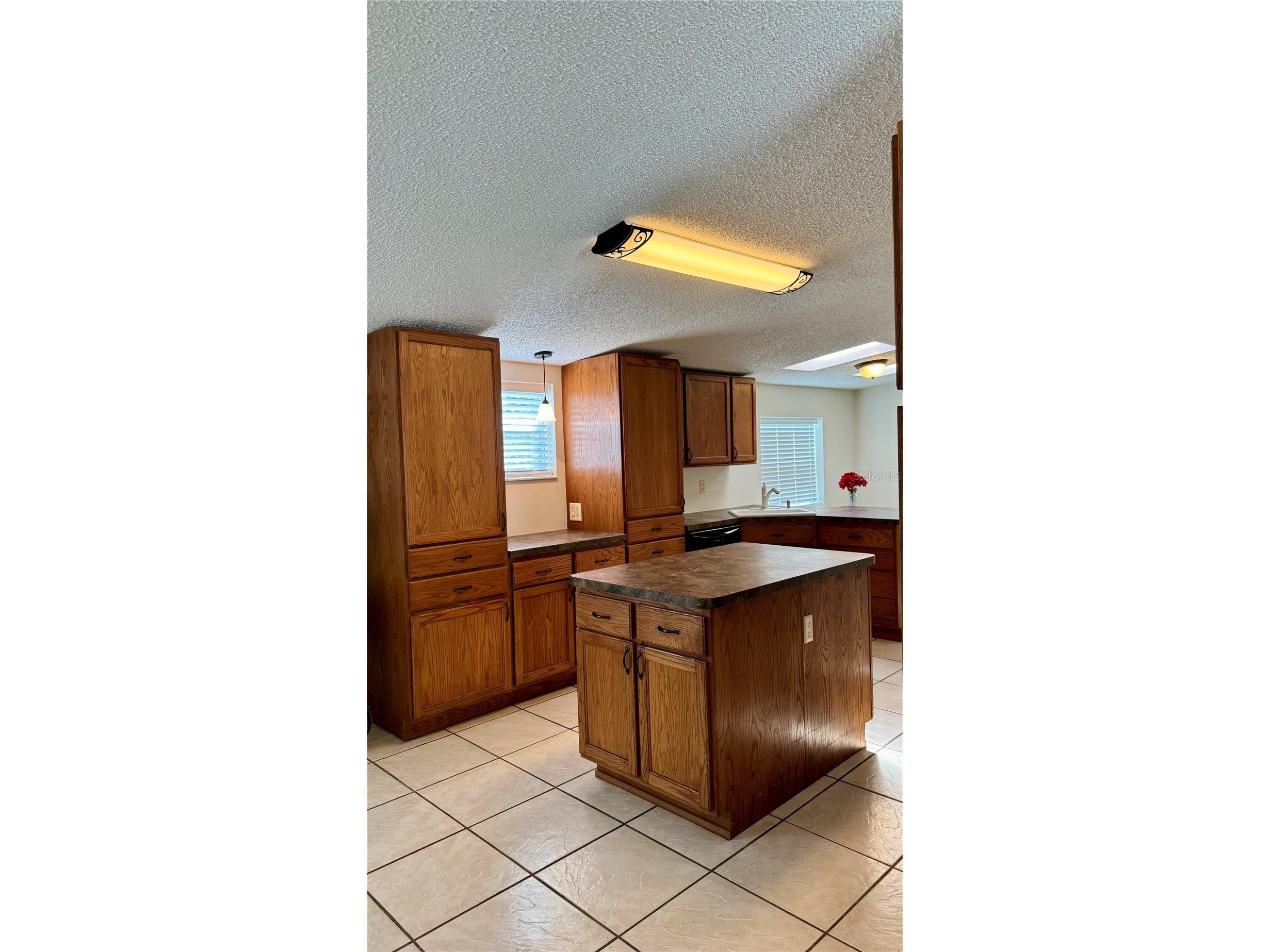 1502 Et Hitte Trail Seffner FL 33584 L4960666 image16