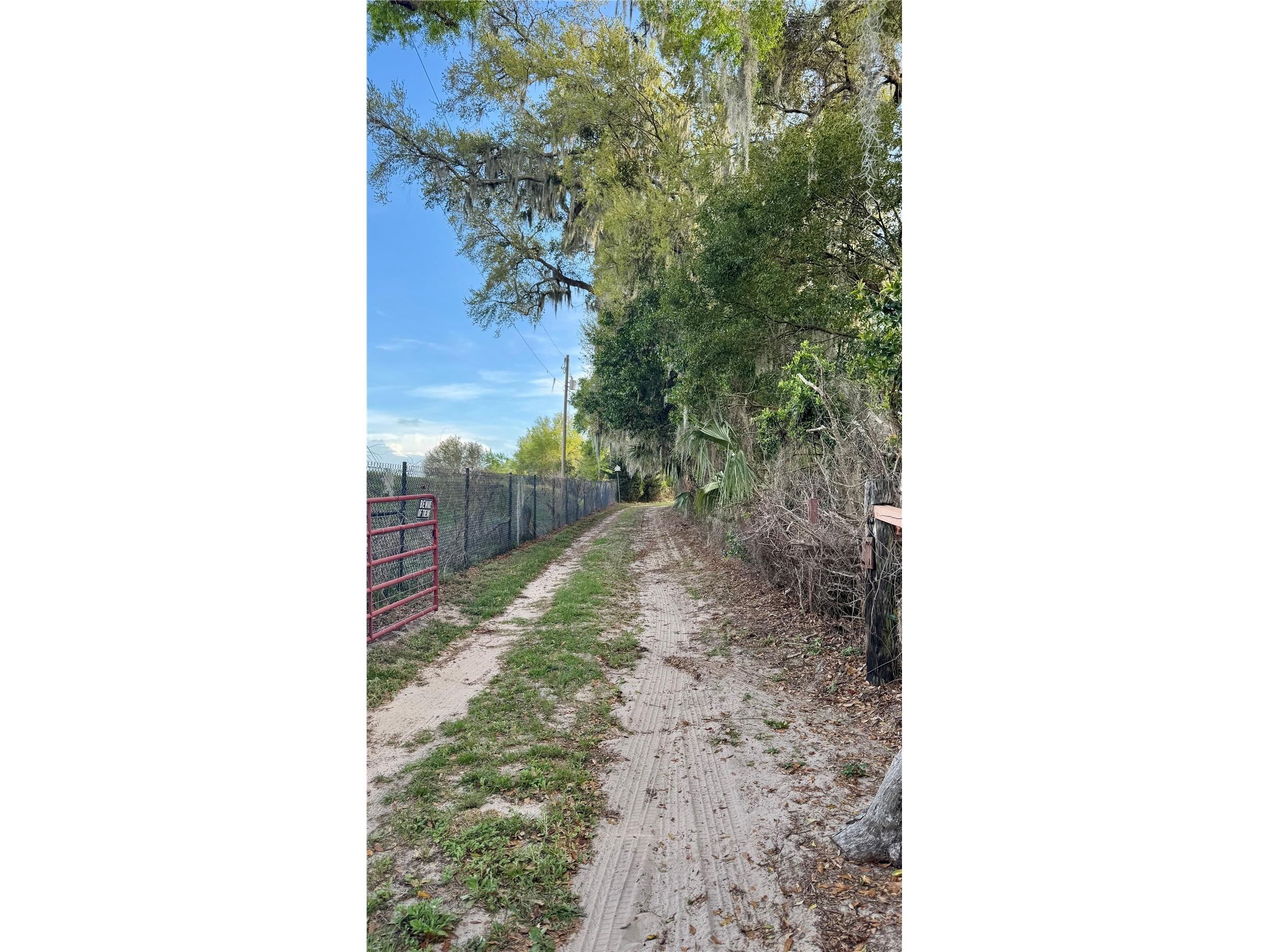 1502 Et Hitte Trail Seffner FL 33584 L4960666 image4