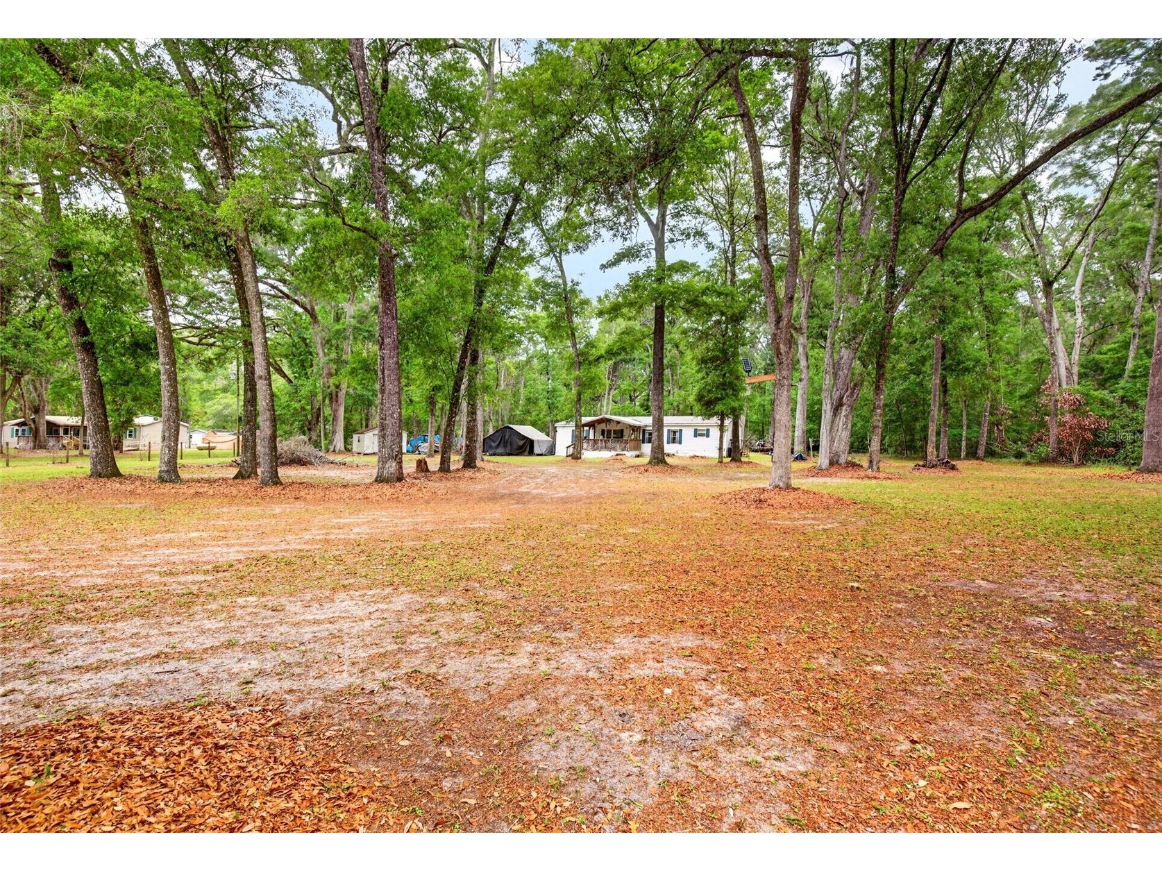 1502 NE 644th Street Old Town FL 32680 OM722511 image33