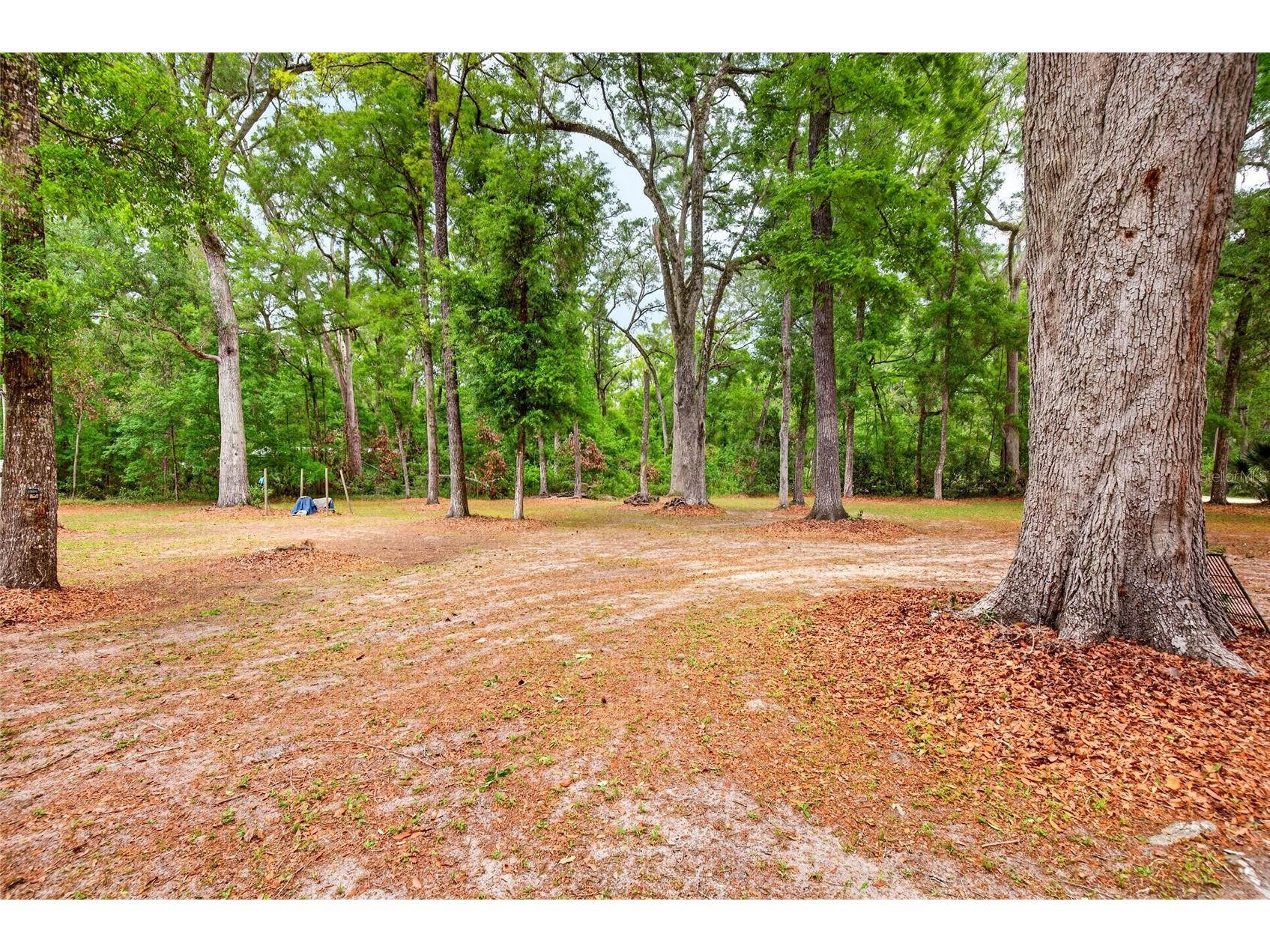 1502 NE 644th Street Old Town FL 32680 OM722511 image38