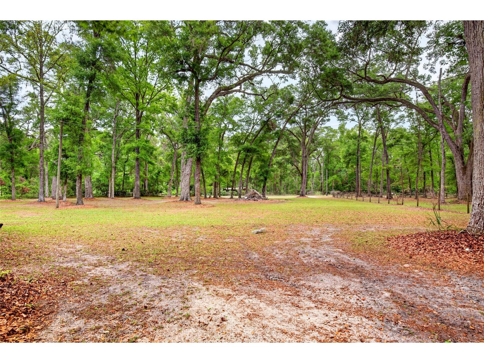 1502 NE 644th Street Old Town FL 32680 OM722511 image39