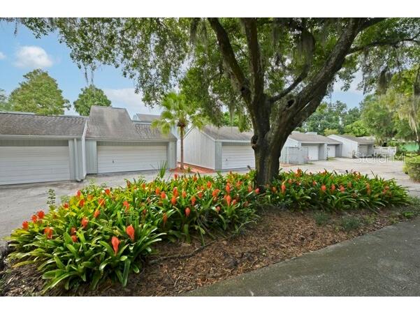 1502 NE Buckeye Road NE #2 Winter Haven FL 33881 O6389762 image34