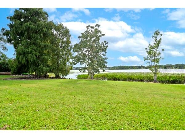 1502 NE Buckeye Road NE #2 Winter Haven FL 33881 O6389762 image39