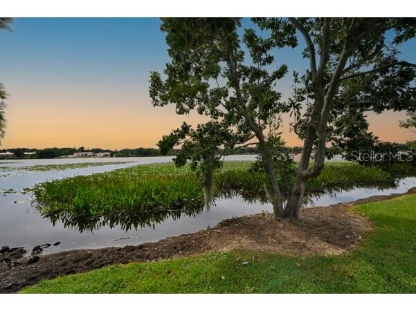 1502 NE Buckeye Road NE #2 Winter Haven FL 33881 O6389762 image44