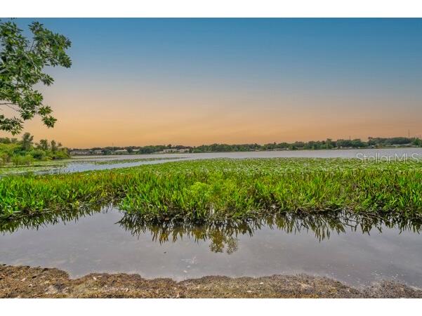 1502 NE Buckeye Road NE #2 Winter Haven FL 33881 O6389762 image45