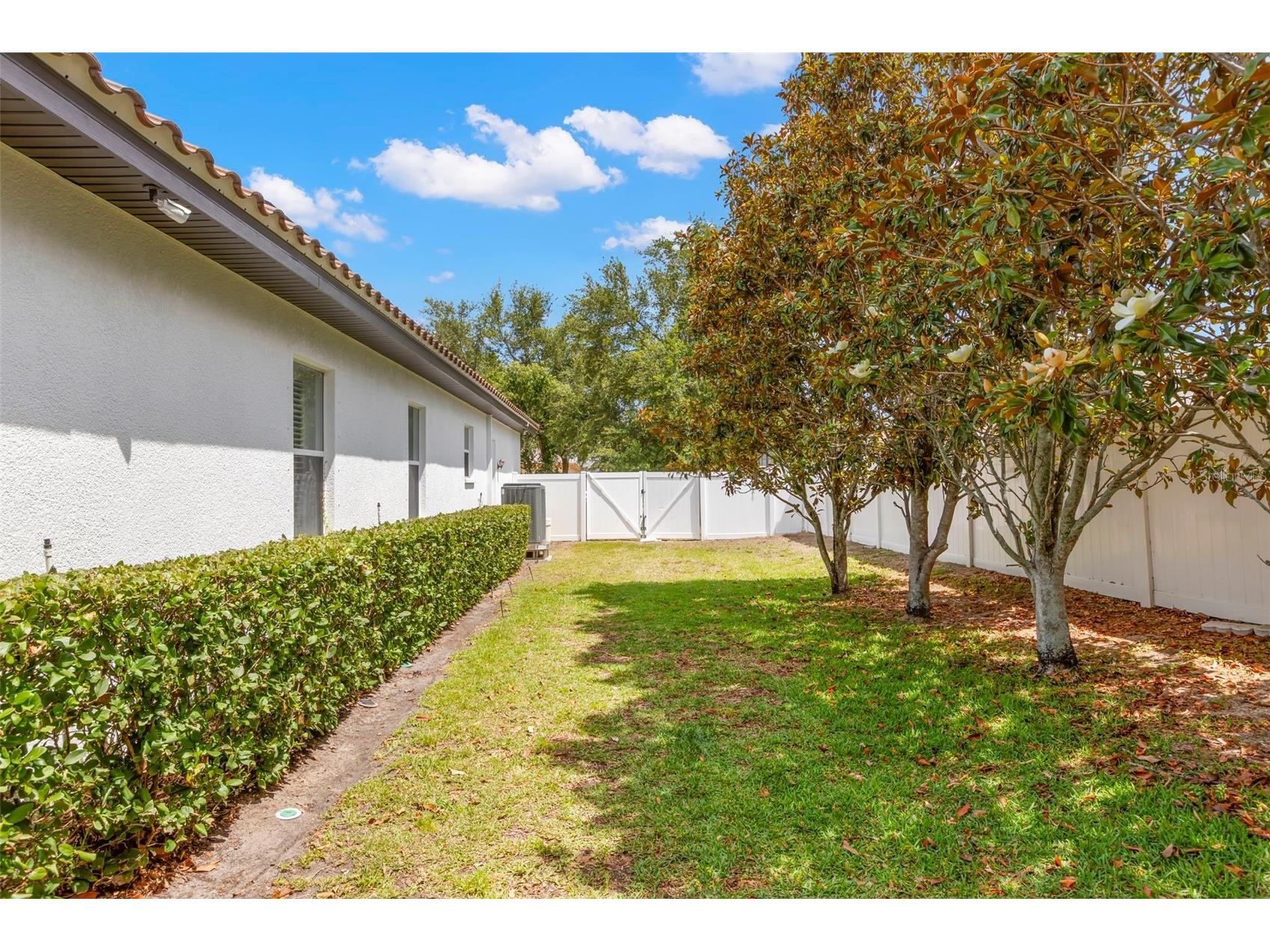 1502 River Court Tarpon Springs FL 34689 TB8507335 image27