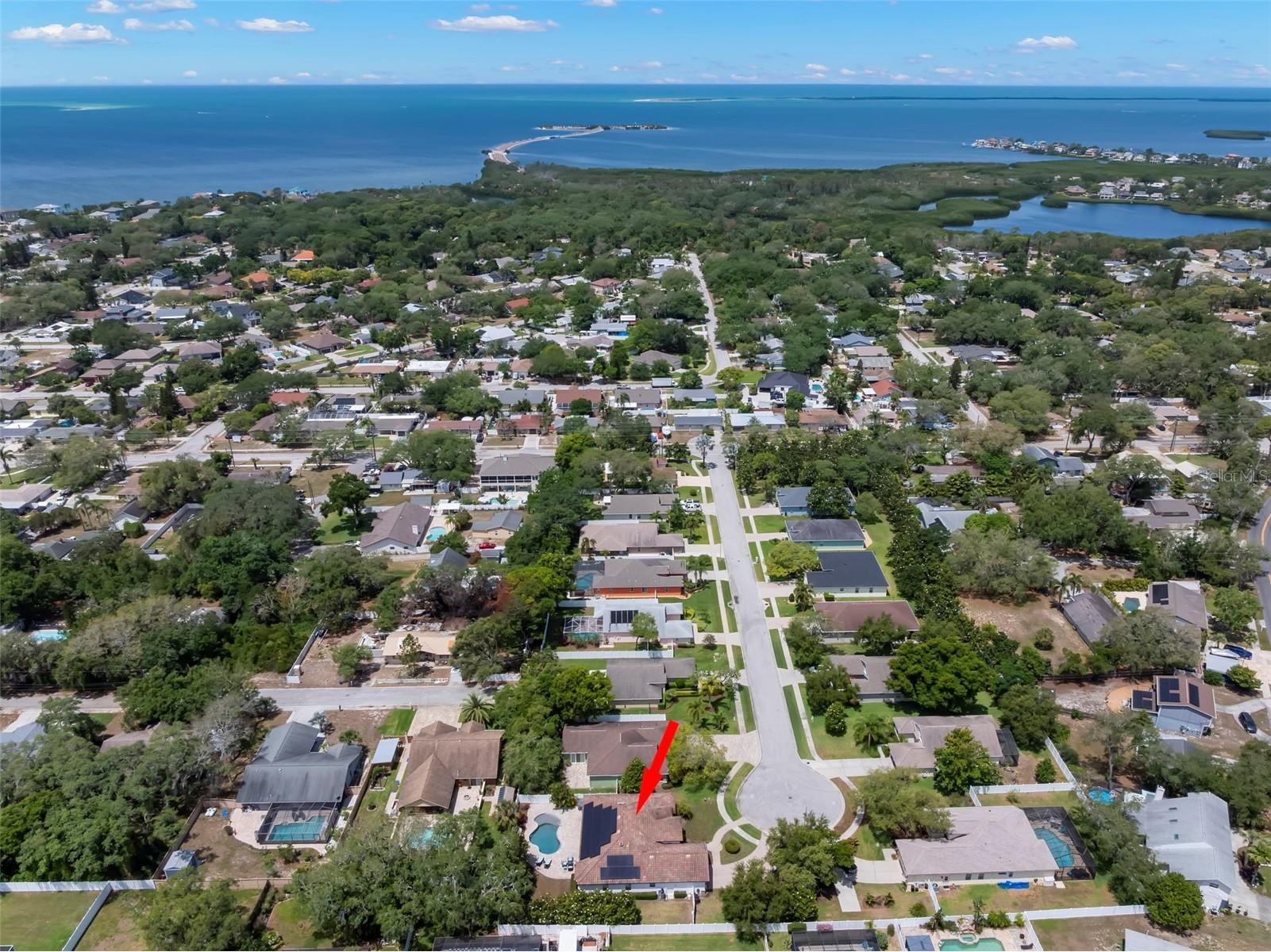 1502 River Court Tarpon Springs FL 34689 TB8507335 image42