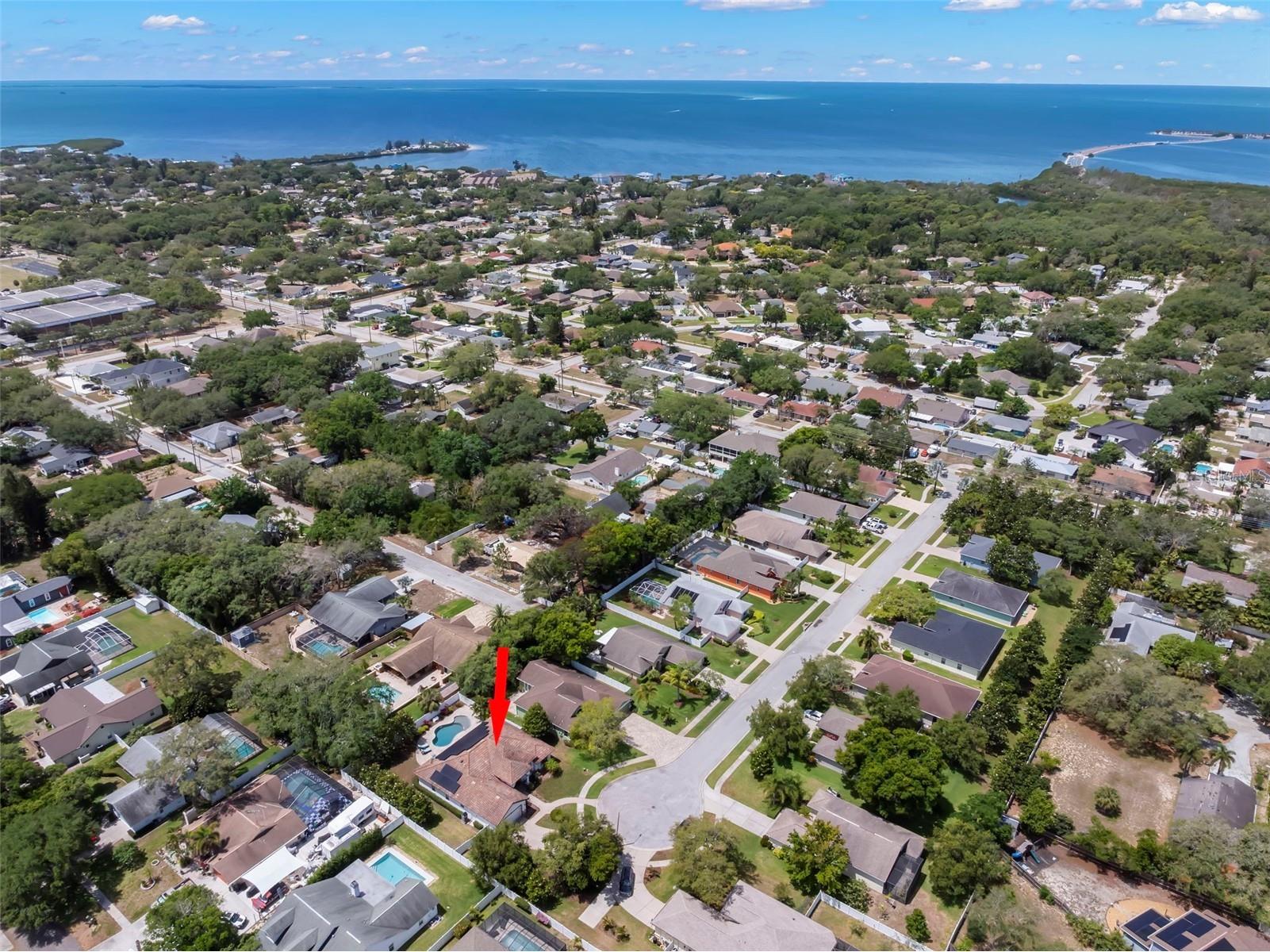 1502 River Court Tarpon Springs FL 34689 TB8507335 image43