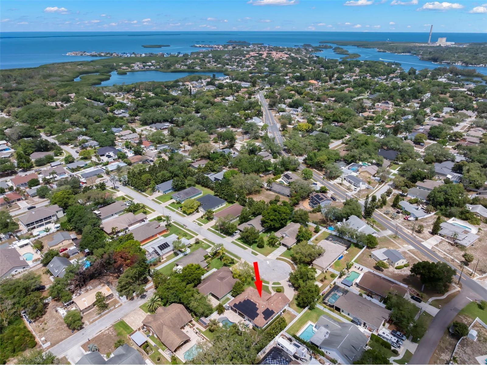 1502 River Court Tarpon Springs FL 34689 TB8507335 image44