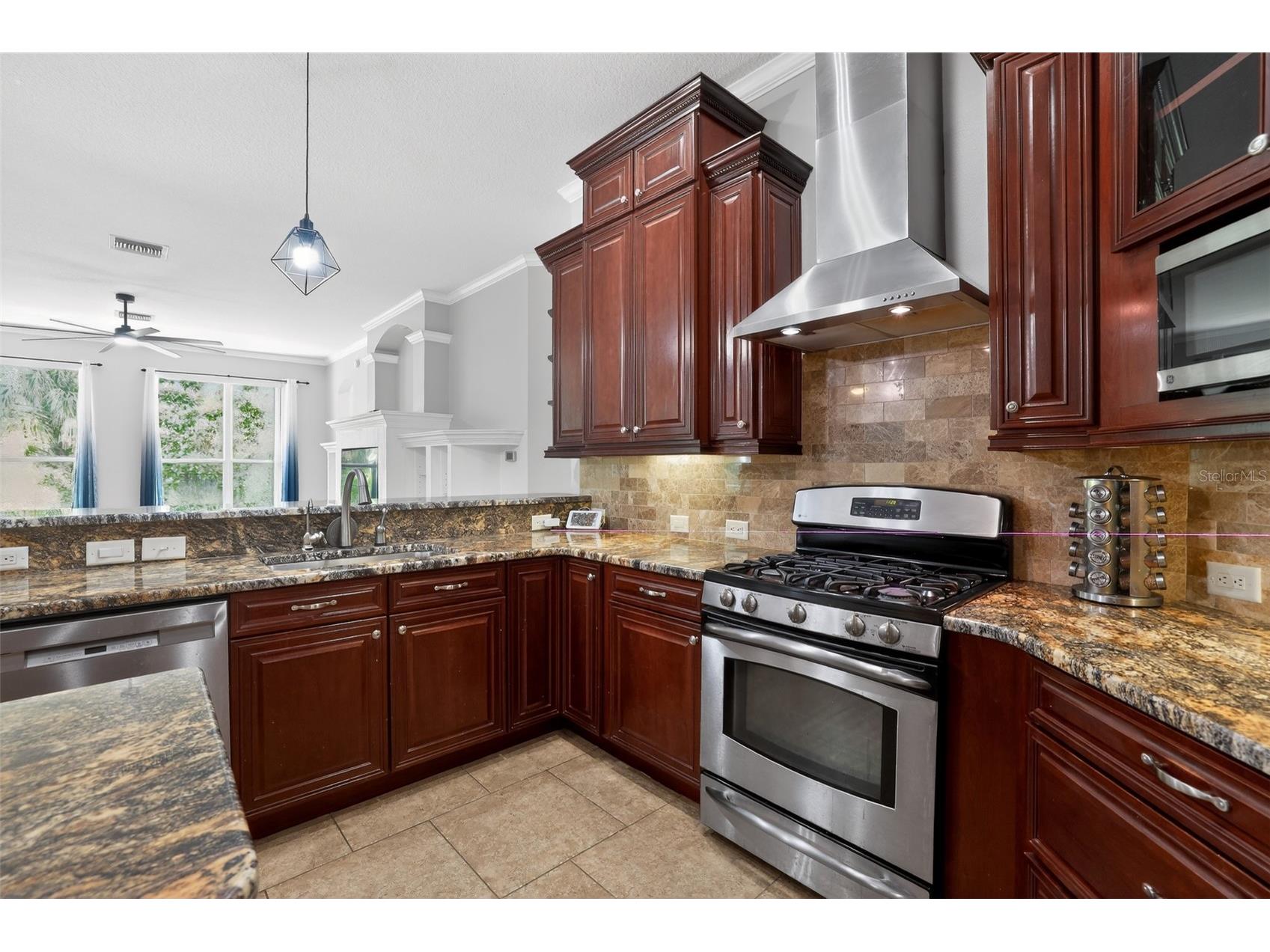 15020 Eaglerise Drive Lithia FL 33547 O6388549 image11