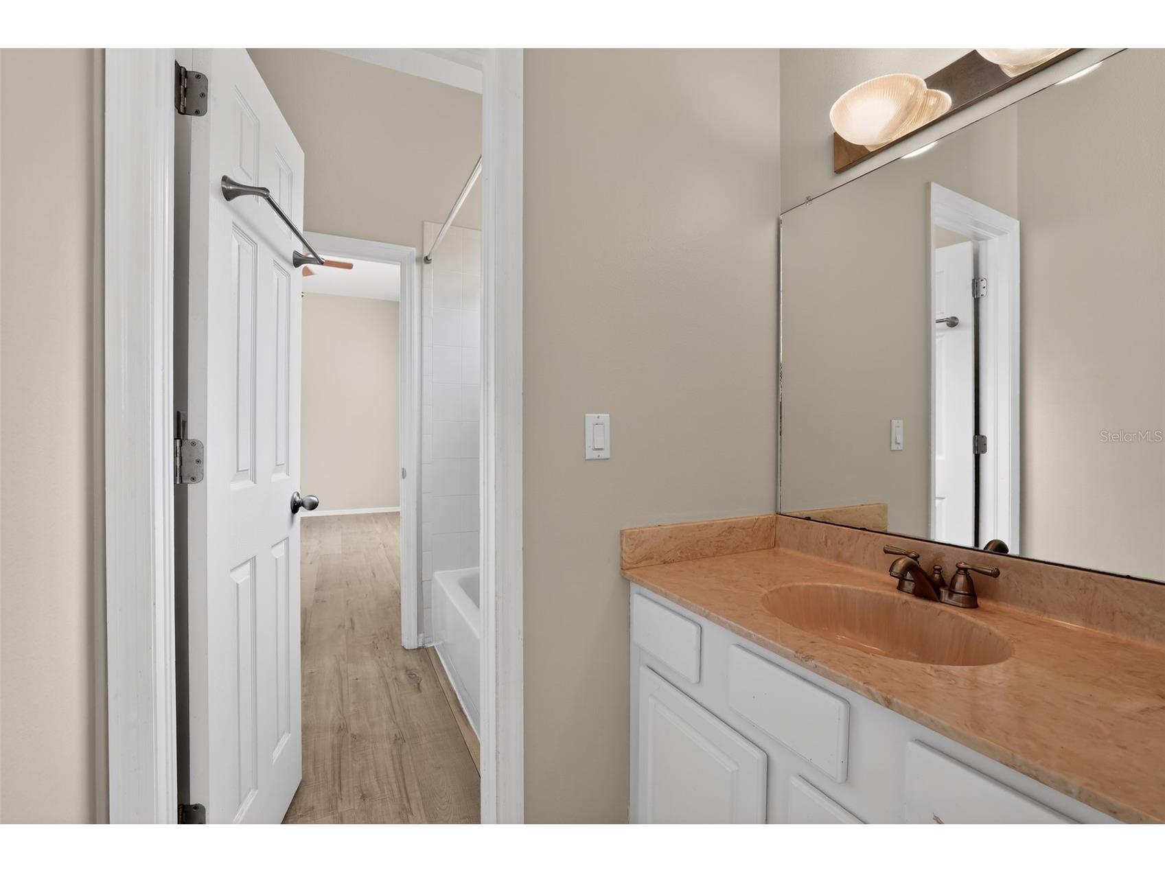 15020 Eaglerise Drive Lithia FL 33547 O6388549 image26