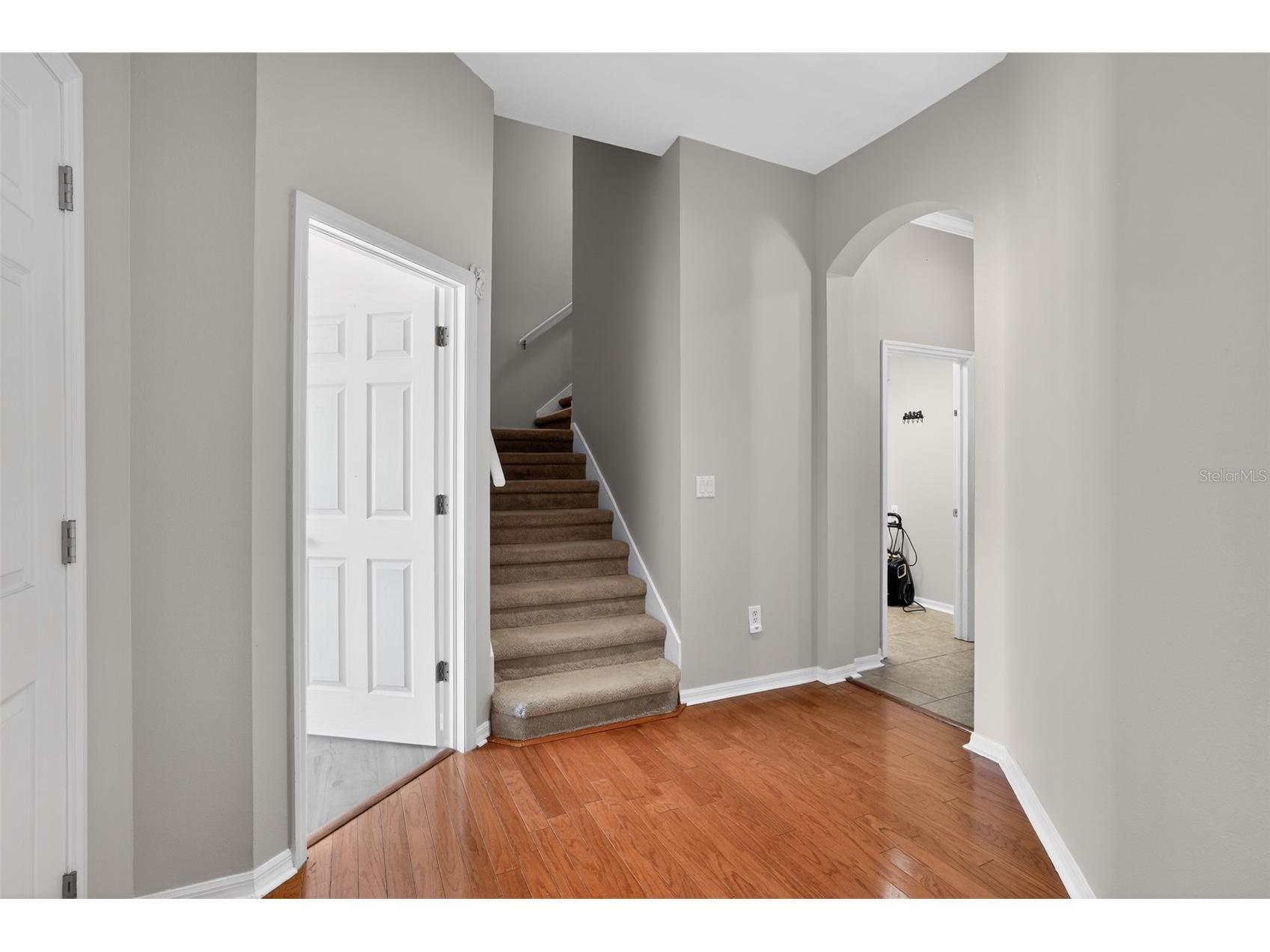 15020 Eaglerise Drive Lithia FL 33547 O6388549 image35