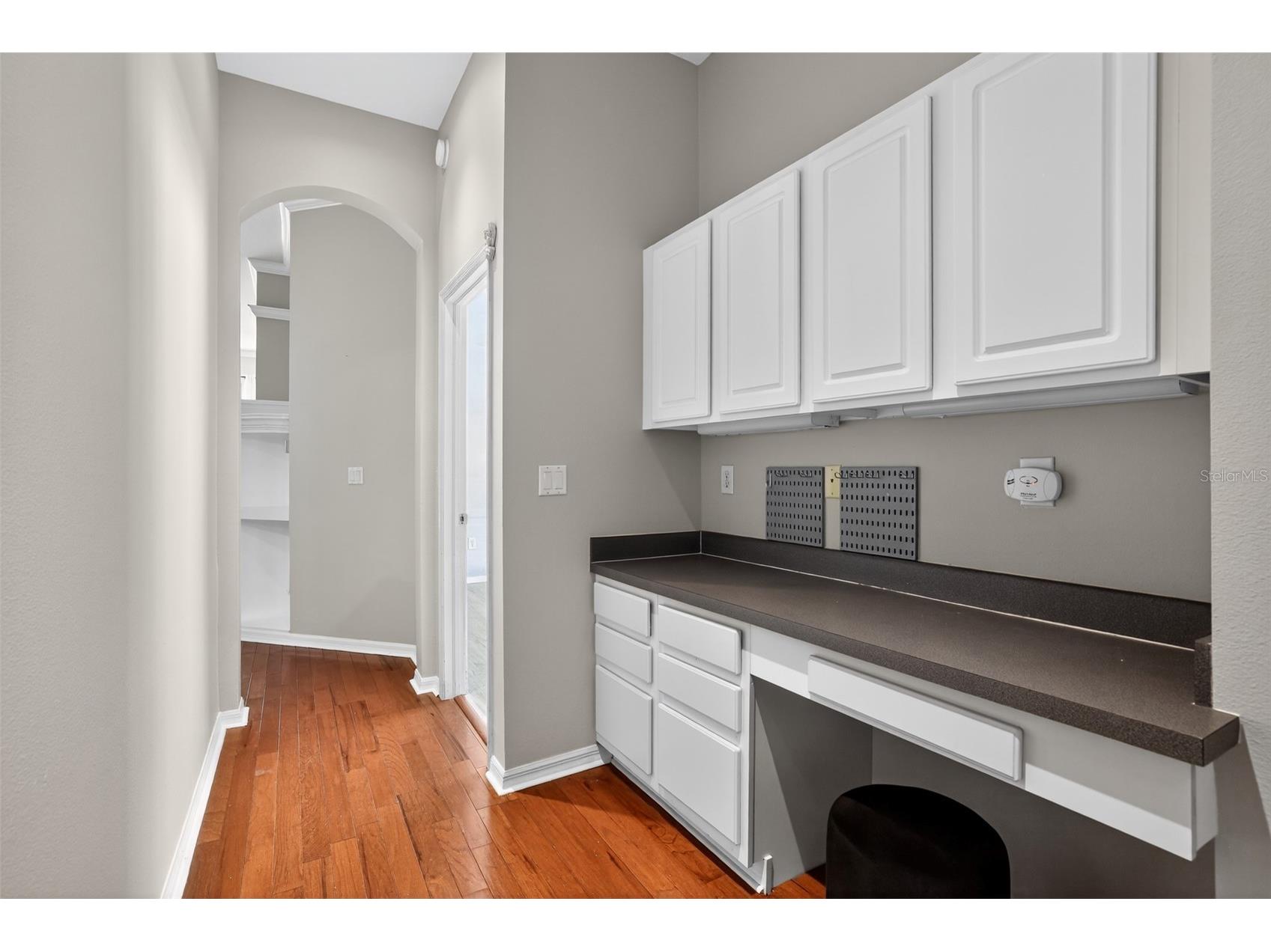 15020 Eaglerise Drive Lithia FL 33547 O6388549 image43