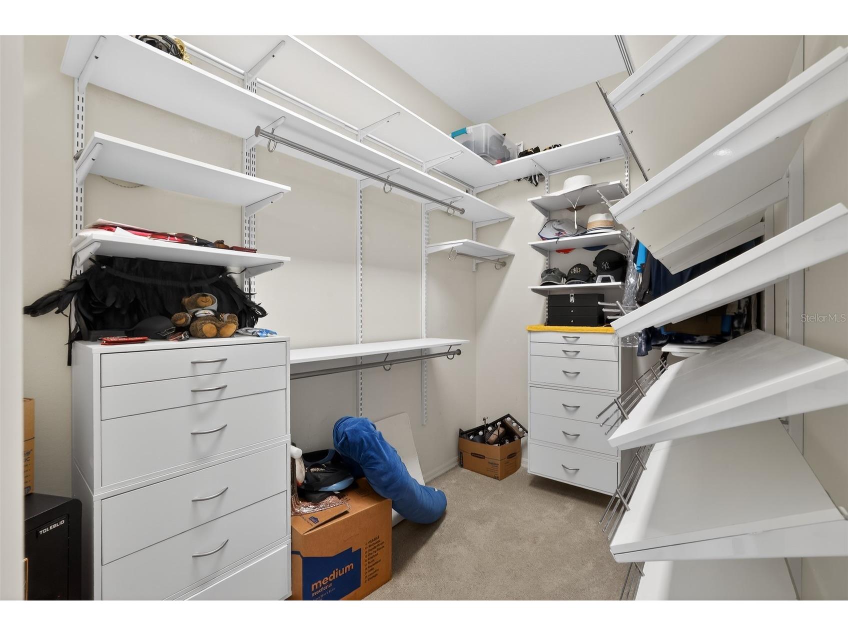 15020 Eaglerise Drive Lithia FL 33547 O6388549 image45