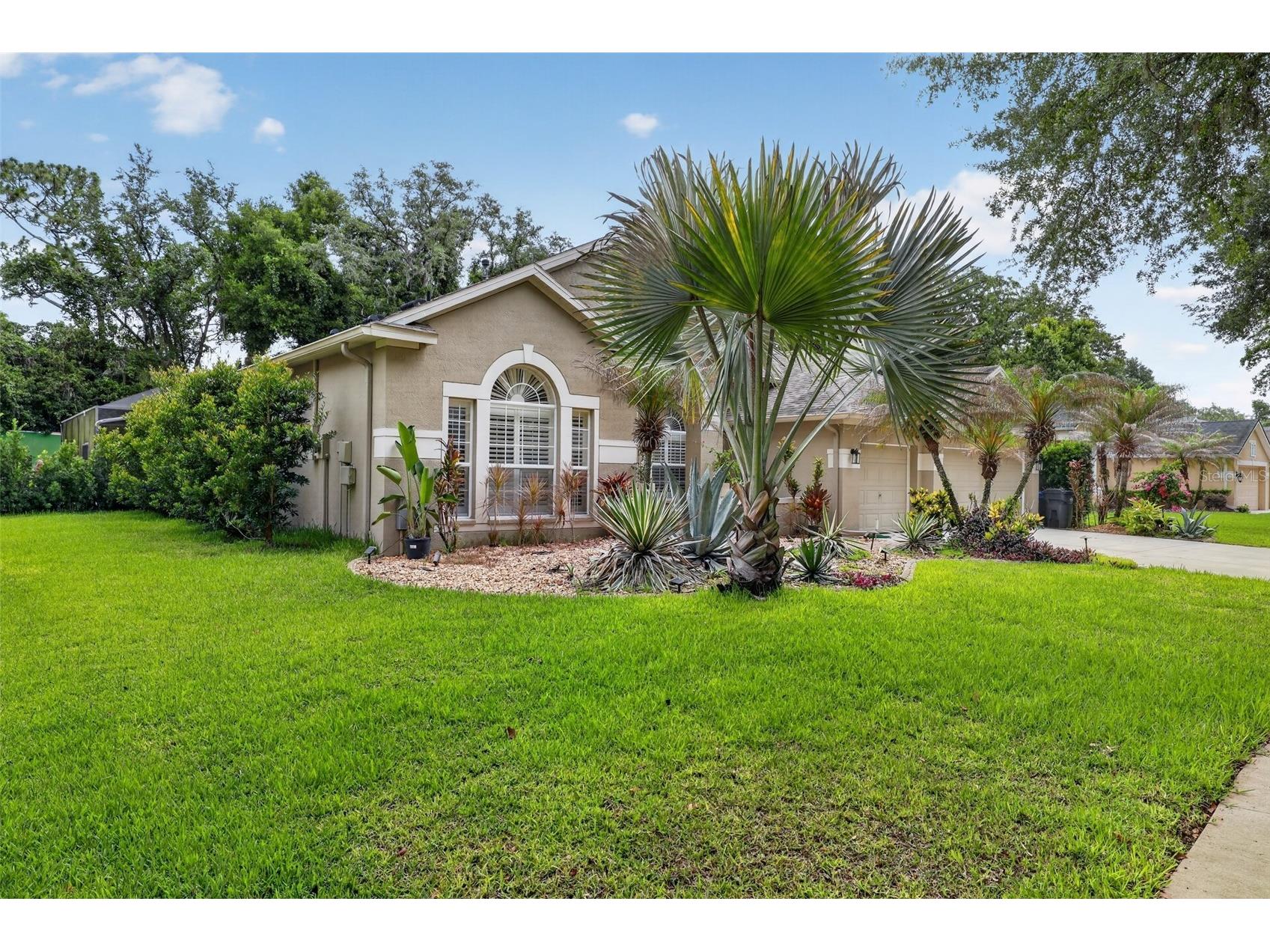 15020 Eaglerise Drive Lithia FL 33547 O6388549 image49