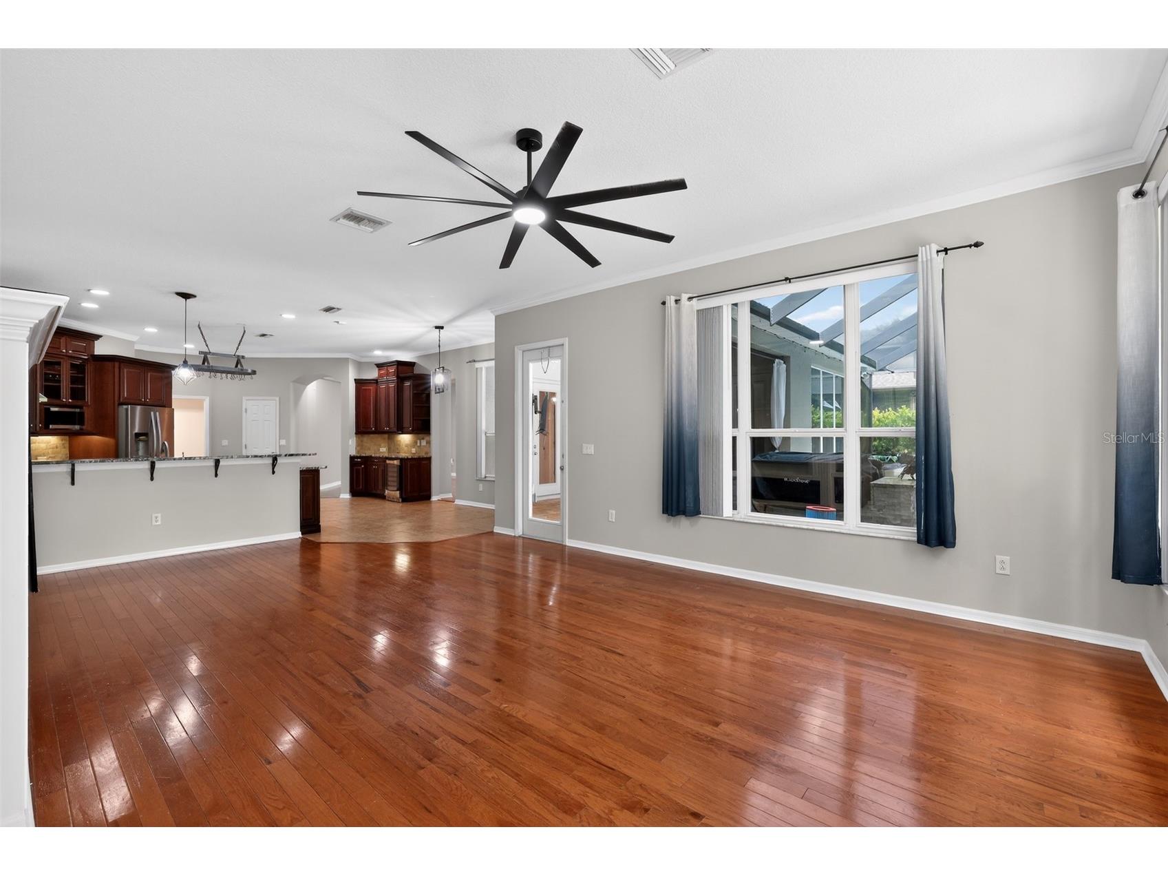 15020 Eaglerise Drive Lithia FL 33547 O6388549 image5
